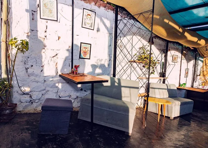 Auberge de jeunesse Apuhouse